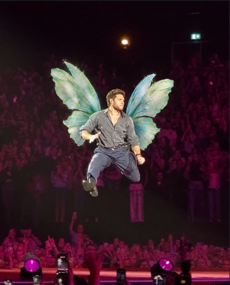 Alex33873330's tweet photo. Niall is a fairy case closed https://t.co/rVzp8kKza8
