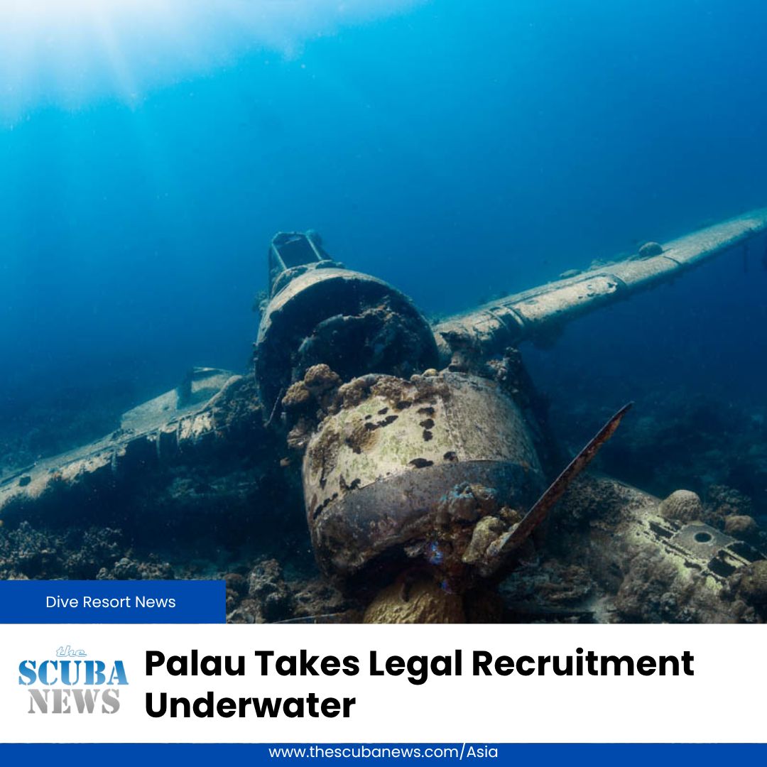 TheScubaNewsAS's tweet photo. Palau is looking for four Assistant Attorneys General, and its search is reaching directly into the scuba community.
One diver has already made the move and logged 300+ dives since arriving.
We explore an unusual Pacific recruitment story. 

🤿 👉  https://t.co/DsBe2q31sQ https://t.co/vlC8JOKuPj