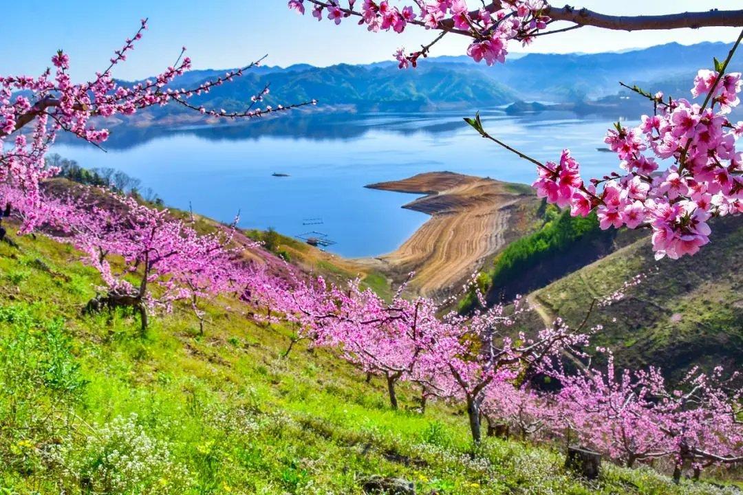 NobukoMizrro's tweet photo. [La hermosa Ruta Ba en Liaoning conecta regiones de Jiangxi, mostrando la belleza de China]， https://t.co/Bdns4zBVQf