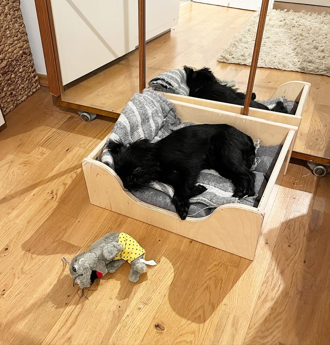 penelopehaller5's tweet photo. Sleepy baby https://t.co/3WmHBnMjKl