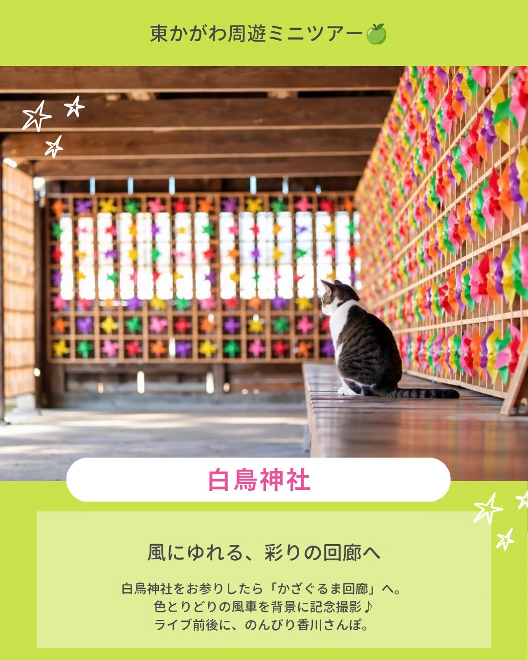 ともりんこページ 応援広告 Cheering AD（チアリングアド） on X: 