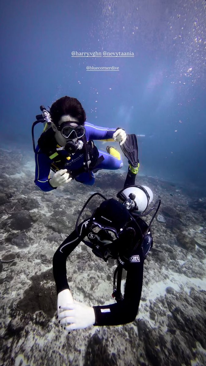 harrysmile1485's tweet photo. HarNev Diving Date🤭💞 with Bang Adam🤗 https://t.co/CNXu1yCNnS