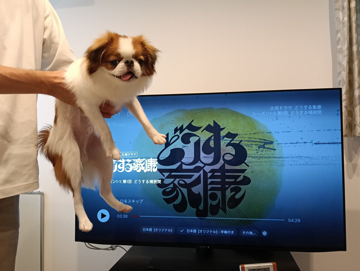 43_kinu's tweet photo. たけちよとどうする家康を見始めました。なぜだかとても笑顔です。 https://t.co/43InLKVdB9