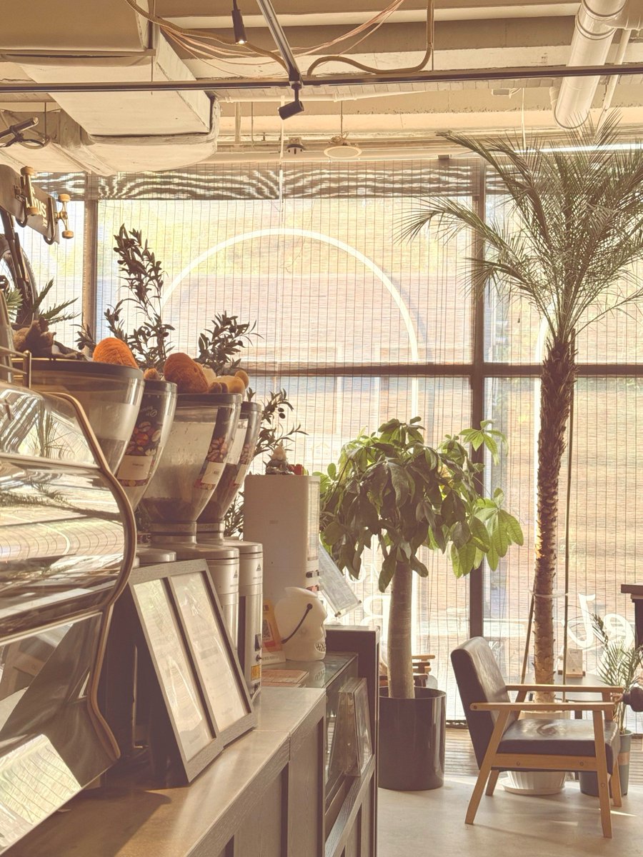KimBurtchgvoy's tweet photo. Just tried the new immersive coffee tasting at the tiny roastery downtown—flavors I’ve never tasted before, and the barista’s custom pairing tip Chef’s kiss 10/10 would recommend! https://t.co/Qf89s4Fam1