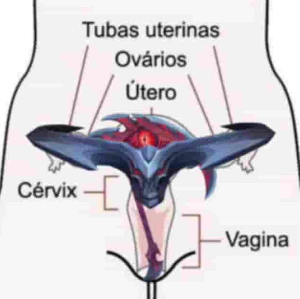rhaastchupacu's tweet photo. menstruação = hemomancia https://t.co/51my1wTQl4