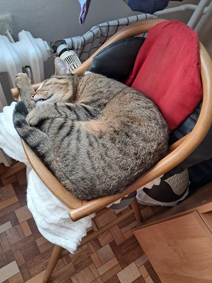 RozbiteParaple's tweet photo. Klidný a pohodový prodloužený víkend děcka. https://t.co/66yCGa7rvc