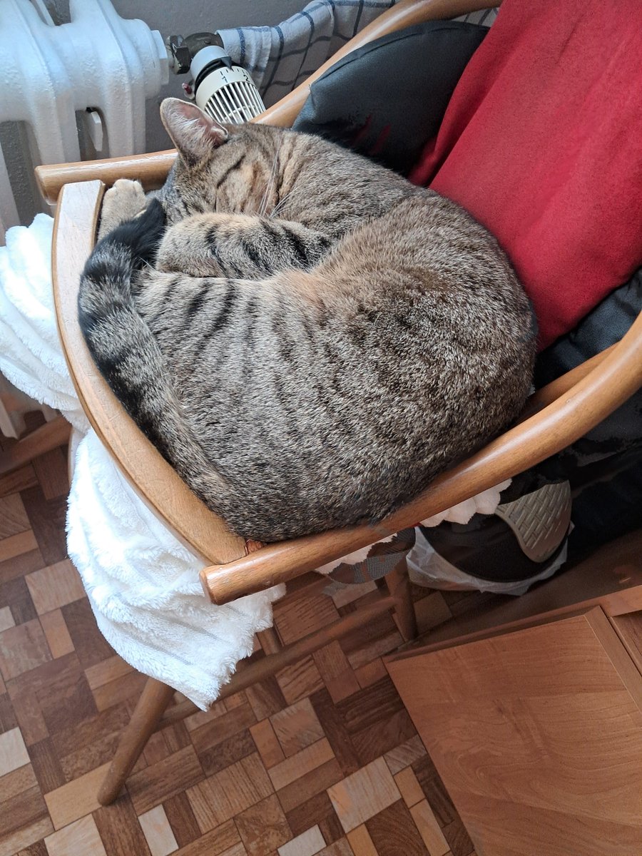 RozbiteParaple's tweet photo. Klidný a pohodový prodloužený víkend děcka. https://t.co/66yCGa7rvc