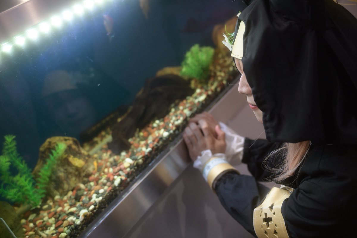 pumpkinmob's tweet photo. 水族館にてch.2熱帯魚と

伊落マリー

撮影・提供：@Reo_OTK 様

 #シンサツコス  #BlueArchiveCosplay https://t.co/cz1x2KAEcu