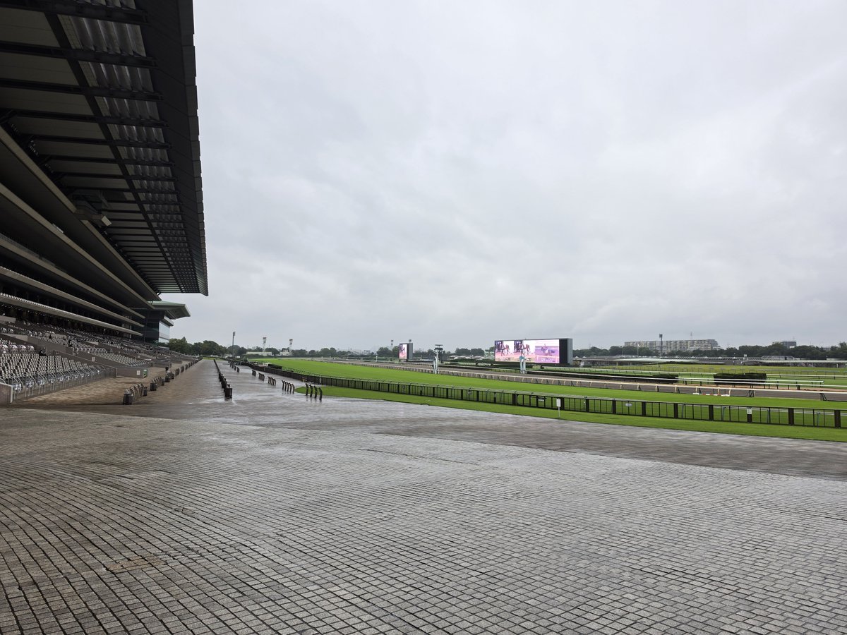 max_MEDALIST's tweet photo. 東京競馬場来たけど、競馬せずに帰る！
今回はアイドルホース買いに来ただけなのでね https://t.co/mvl8zBOCsM