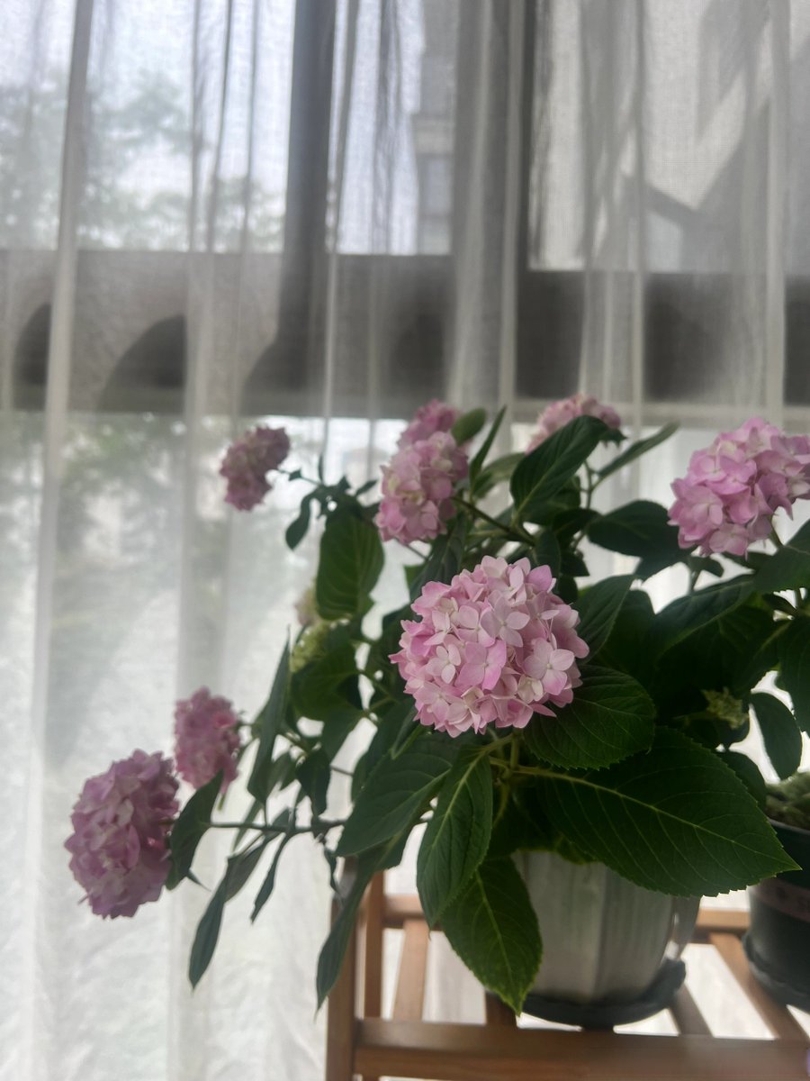 1207noella's tweet photo. [In 沾览居, every moment feels like a warm, cozy escape.]， https://t.co/wiAAElakfR