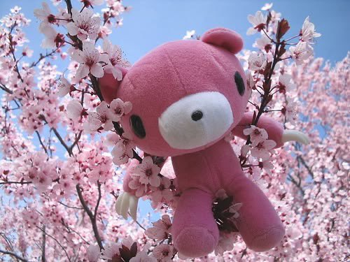 empathymarechi's tweet photo. ♡ ◜ fake everything , I am a musical performer and this is only for a show . SFX makeup , fake blood , fake body ︵
꒰ new gloomy bear plushies! what do we think ?! ( ̄^ ̄)b 🧵
#sledtwtr #ouchietwt #shedtwtr https://t.co/5YebZ8nb1K