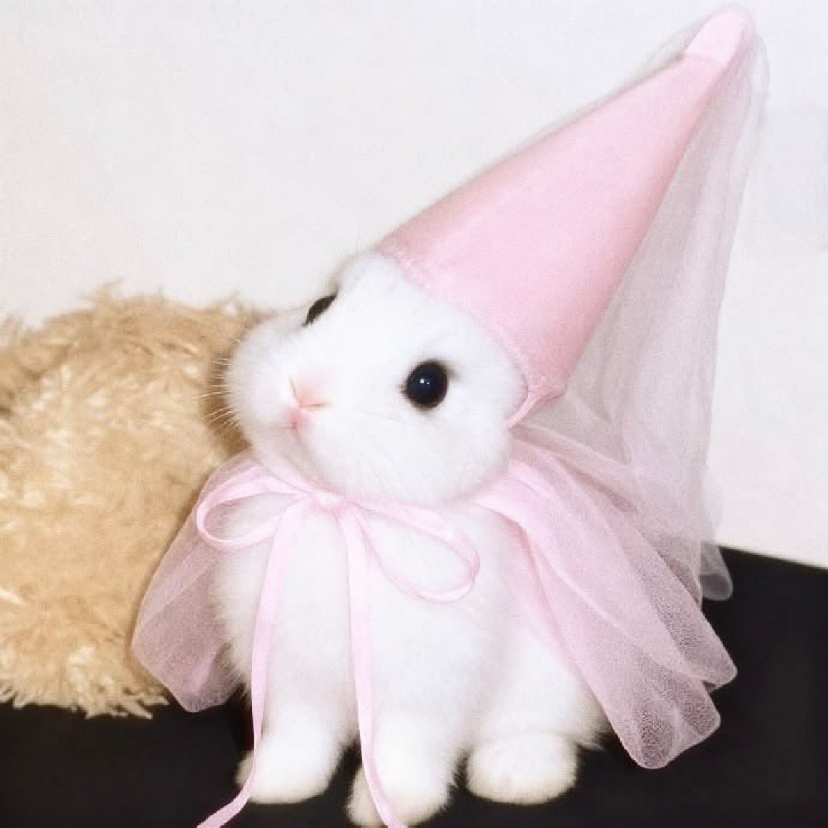 bunnyposting_'s tweet photo. princessed a bit too hard https://t.co/pyLGCtMuBS