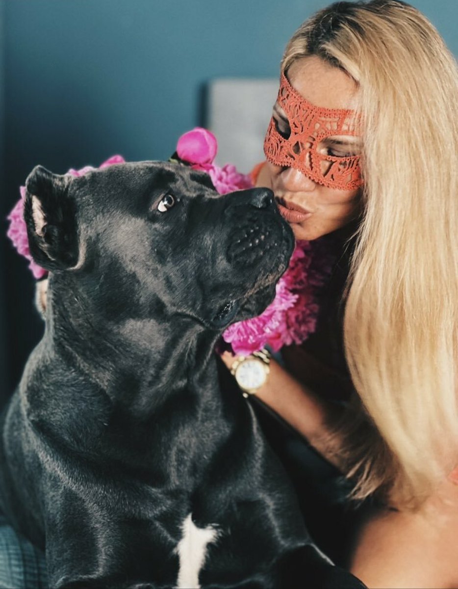 silesto_nrl's tweet photo. Dogs kisses fixes everything 💕
#Dogs #USA https://t.co/1uRIWofWHj