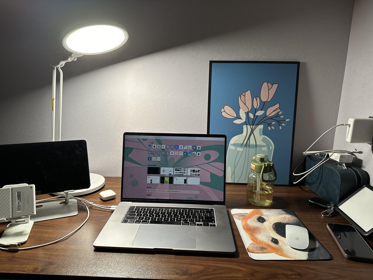 SukLogalbot0r's tweet photo. When your work laptop battery's at 12% but your snack stash's full u0026 the window seat has perfect sunlight — optional meeting Monday https://t.co/SXXdGQUdyx