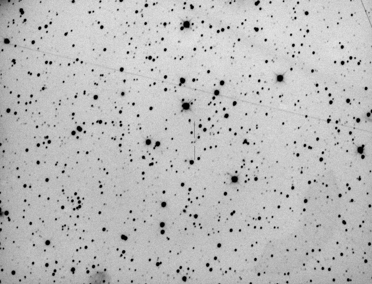 SN2013gv's tweet photo. C/2025 J1 (Borisov)

絶対等級8等の小彗星です。6/11に近日点3.65AUを通過済みです。p.a.330°に0.3'の尾が伸びています。m1=17.9等。

2026.09.17.79646UT, 9*60s, 40cm RC + F6.5 Focal Reducer, FLI ML8300, no cropping, Q14 https://t.co/PGU56T2eYD