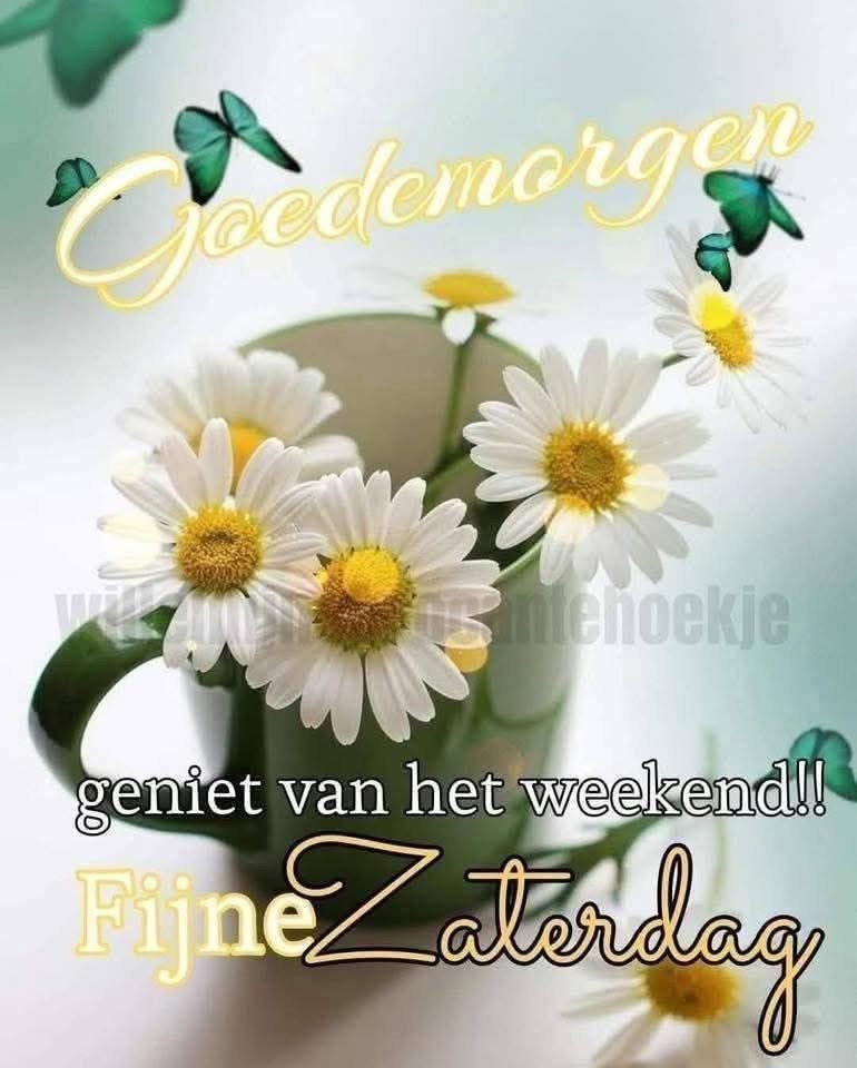 cors22 tweet picture