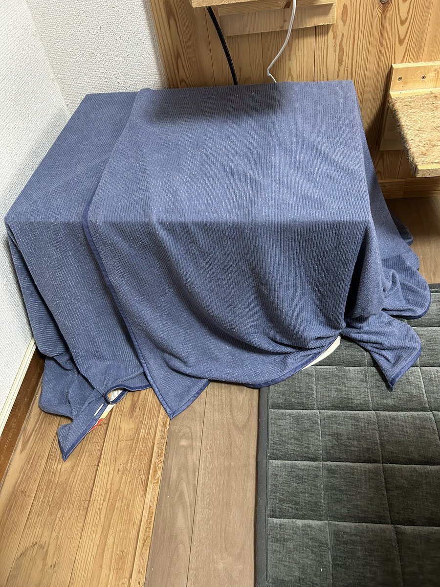 ShingmKururi's tweet photo. ペットヒーター置いて
ミニミニこたつ置いてみた
ヒーターが全く温かくなく
ただの秘密基地みたくなってるけど、ずっとツッキー入ってる
#こたつ基地監視中 https://t.co/3tzJYZh7z0