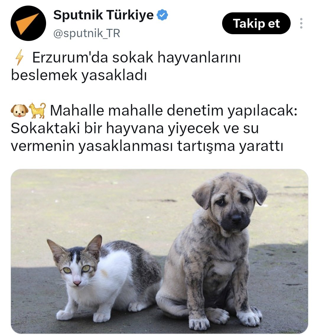 AvGulcinYapici's tweet photo. Bunlar duymadı , kuşlar, kedi köpeklere duyurudur.
Erzurum sınırını terk edin , orda sadece insanlar beslenir , sizin su ve yiyecek hakkınız yok , aç kalın diye karar alındı duydunuz mu canlarım 🙏
Yasa sizi aç susuz bırakmayı yasakladı ama Valilik bunu umursamadı rızkı veren onlar sanki 
Lütfen en yakın zamanda ili terkedin minikler 🎀🎀

 Onlara anlatmak daha kolay , Eminim hayvanlar bunu anlayacaktır.

Rızkı veren Allahtır , insanınkini de hayvanınkini de rızık sadece para yiyecek de değildir , rızık vicdandır 

Napalım Yaradan asıl sizden kesmiş rızkı ki buna sebep olmuşsunuz 

@diyanetbasin