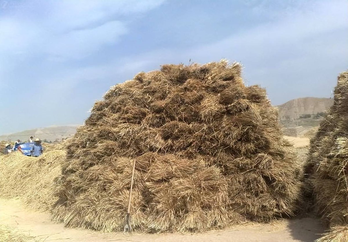 yunjae127779's tweet photo. The straw stack stands tall by the hill, with a small brass key resting on it in the warm sunset glow. https://t.co/fLE1FpJi6o