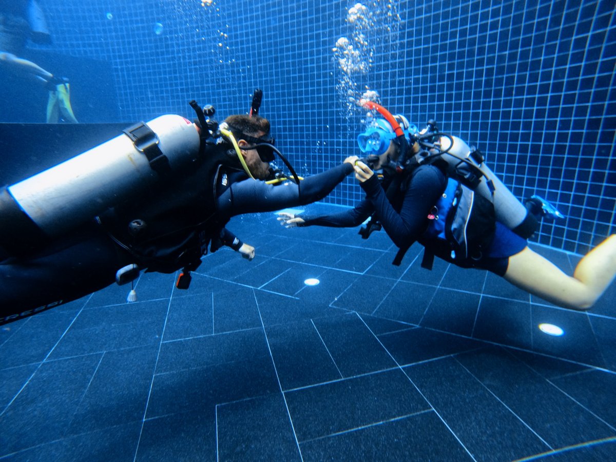 GoProIDCKohTao's tweet photo. Koh Tao provides an excellent environment for aspiring scuba divers who are considering a lifestyle or career change and there are many reasons why people choose professional level scuba diving training. https://t.co/aRfzPaBuor #Instructor #PADI #KohTao #IIDc #Professional https://t.co/gV5zsWRKrI