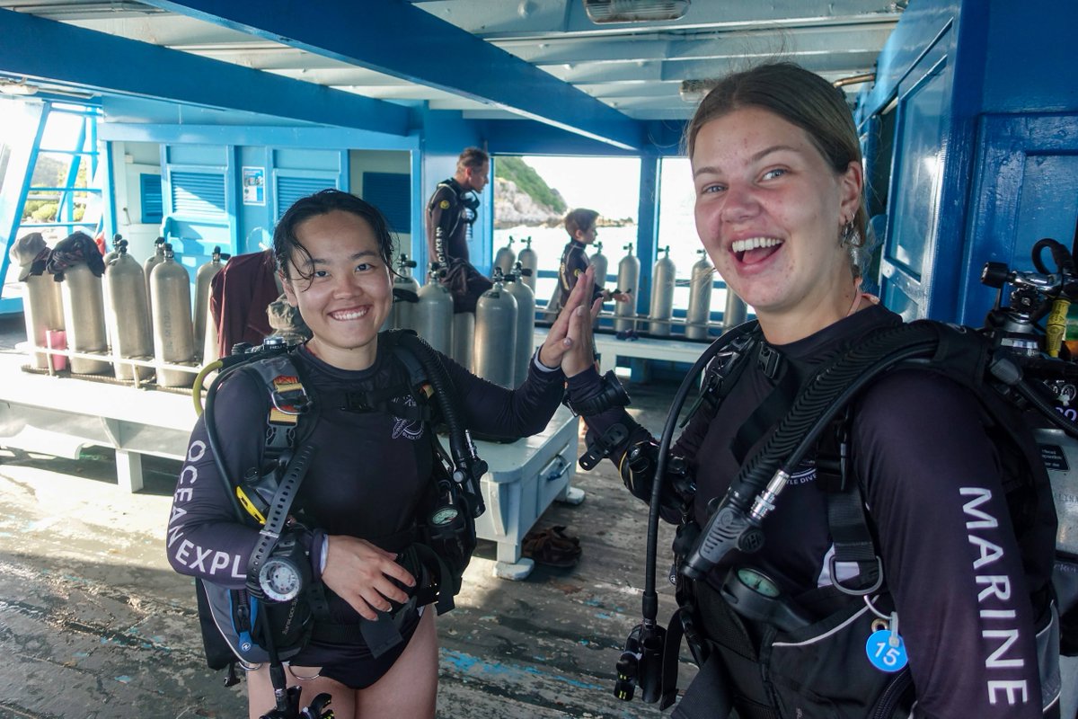 GoProIDCKohTao's tweet photo. Koh Tao provides an excellent environment for aspiring scuba divers who are considering a lifestyle or career change and there are many reasons why people choose professional level scuba diving training. https://t.co/aRfzPaBuor #Instructor #PADI #KohTao #IIDc #Professional https://t.co/gV5zsWRKrI