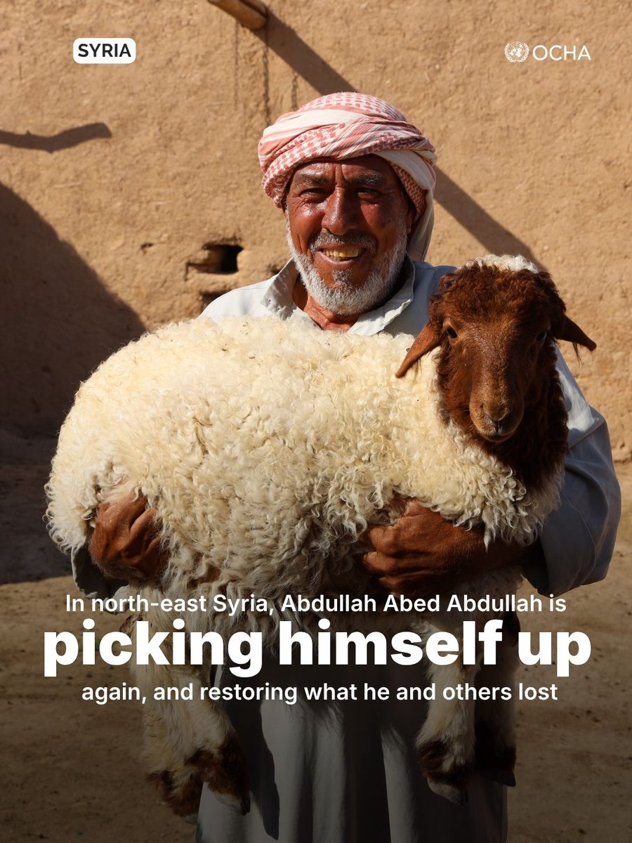 UNOCHA's tweet photo. In north-east Syria, families regard their livestock and the next harvest with greater value than just food.

With support from the Syria Humanitarian Fund, @FAOSyria is helping farming households to plant vegetables, protect livestock and keep rural livelihoods alive. https://t.co/bKJrXM9XoO
