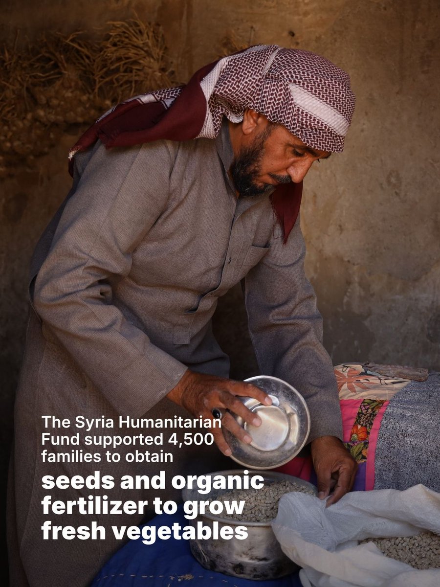 UNOCHA's tweet photo. In north-east Syria, families regard their livestock and the next harvest with greater value than just food.

With support from the Syria Humanitarian Fund, @FAOSyria is helping farming households to plant vegetables, protect livestock and keep rural livelihoods alive. https://t.co/bKJrXM9XoO