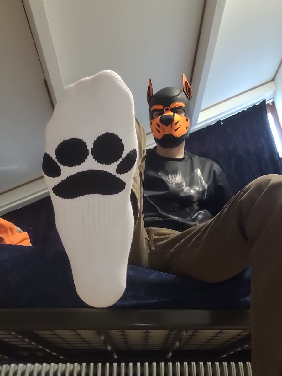 0rangeSpark's tweet photo. woof!🐶🧦 https://t.co/yIHwJqUkEd