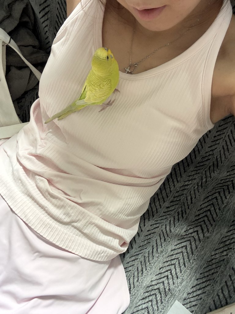 Icezm7's tweet photo. hihi大家好 我叫牙刷  是一只不会说话的笨小鸡，我的妈妈给我这个名字是因为她喜欢说：我牙刷哟～
嗯 我猜她应该很喜欢牙刷或者刷牙。。
我最喜欢干的事就是咬妈妈的嘴唇 和脚趾给她咬的嗷嗷叫，感觉我像s懂吧

其次我有个哥哥也是个笨小鸡在趁妈妈上班的时候离家出走了，至今未归才有了我。

seeyou^ https://t.co/glqiBO9qDG