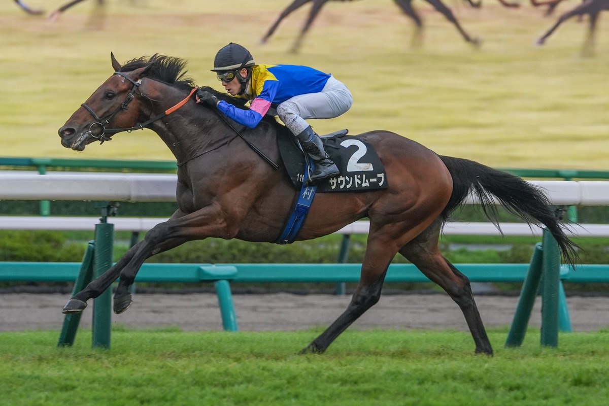 Jordan_Jorvon's tweet photo. 2026/09/26
中山競馬11R 秋風ステークス
🏆サウンドムーヴ × 津村明秀騎手

右目負傷明けの津村明秀騎手がメインレースを勝利🏅おめでとうございます🎉

#中山競馬 
#秋風ステークス 
#サウンドムーヴ 
#津村明秀 騎手 https://t.co/QEzg3scp18