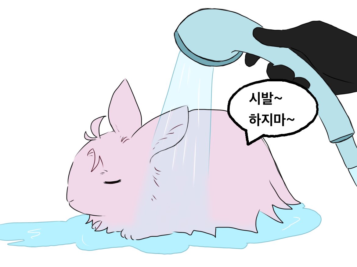 8PODO8's tweet photo. ?
트레함 https://t.co/AY9MaXsq3p