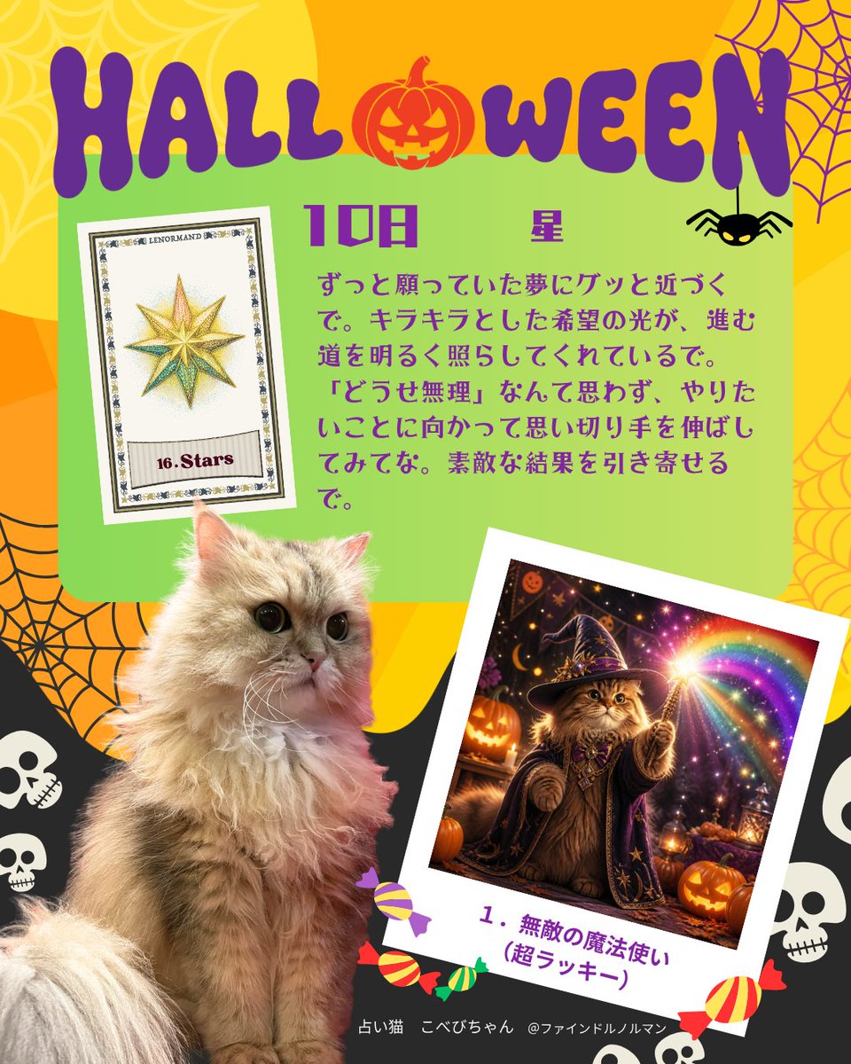 sakurano_karen's tweet photo. 🎃こべびちゃん占い👻

占い猫こべびからの
今日のメッセージ  ✨🐾

他にも毎日の運勢を投稿してる人がいたら
リプ欄に貼ってシェアしてな。
占術はなんでもいいで✨
みんなに幸せ届きますように🐾 https://t.co/FA6Zm5lQ1w