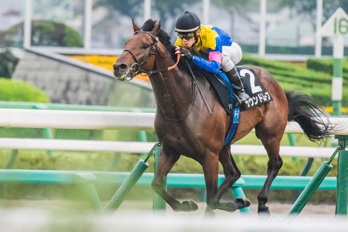 ryosryos_camera's tweet photo. 2026.9.26 中山競馬場 11R 秋風ステークス
 #サウンドムーブ ×  #津村明秀 騎手 https://t.co/hKj5botUPN