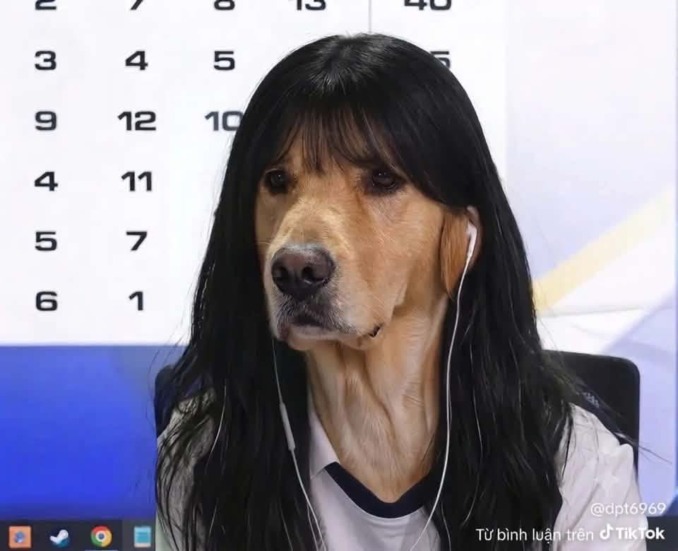 VTrnAnhKit5's tweet photo. @Ohyeah_808 hello dog https://t.co/FBOpS3yevA