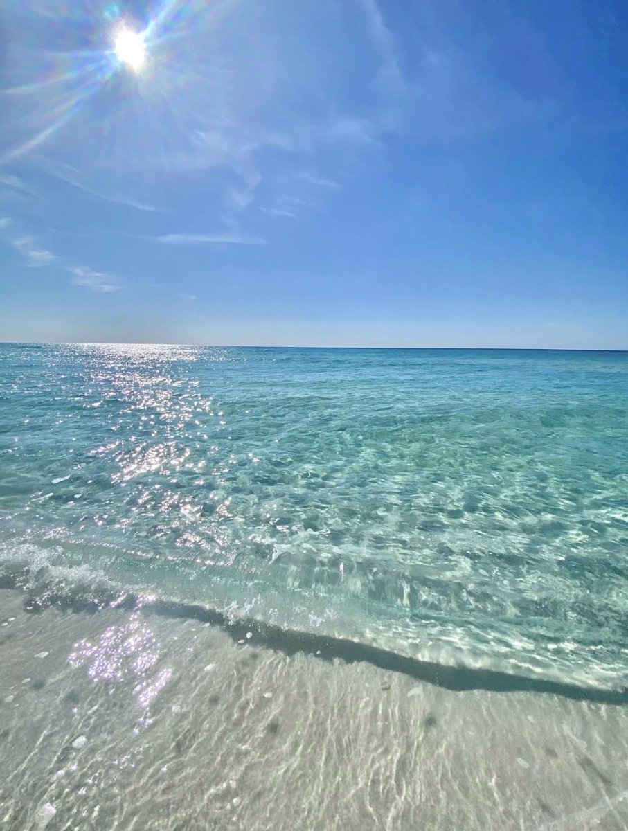 wiseconnector's tweet photo. It’s official! I am at the beach for the next seven days. ☀️🌊 https://t.co/HJ7iVczi9T