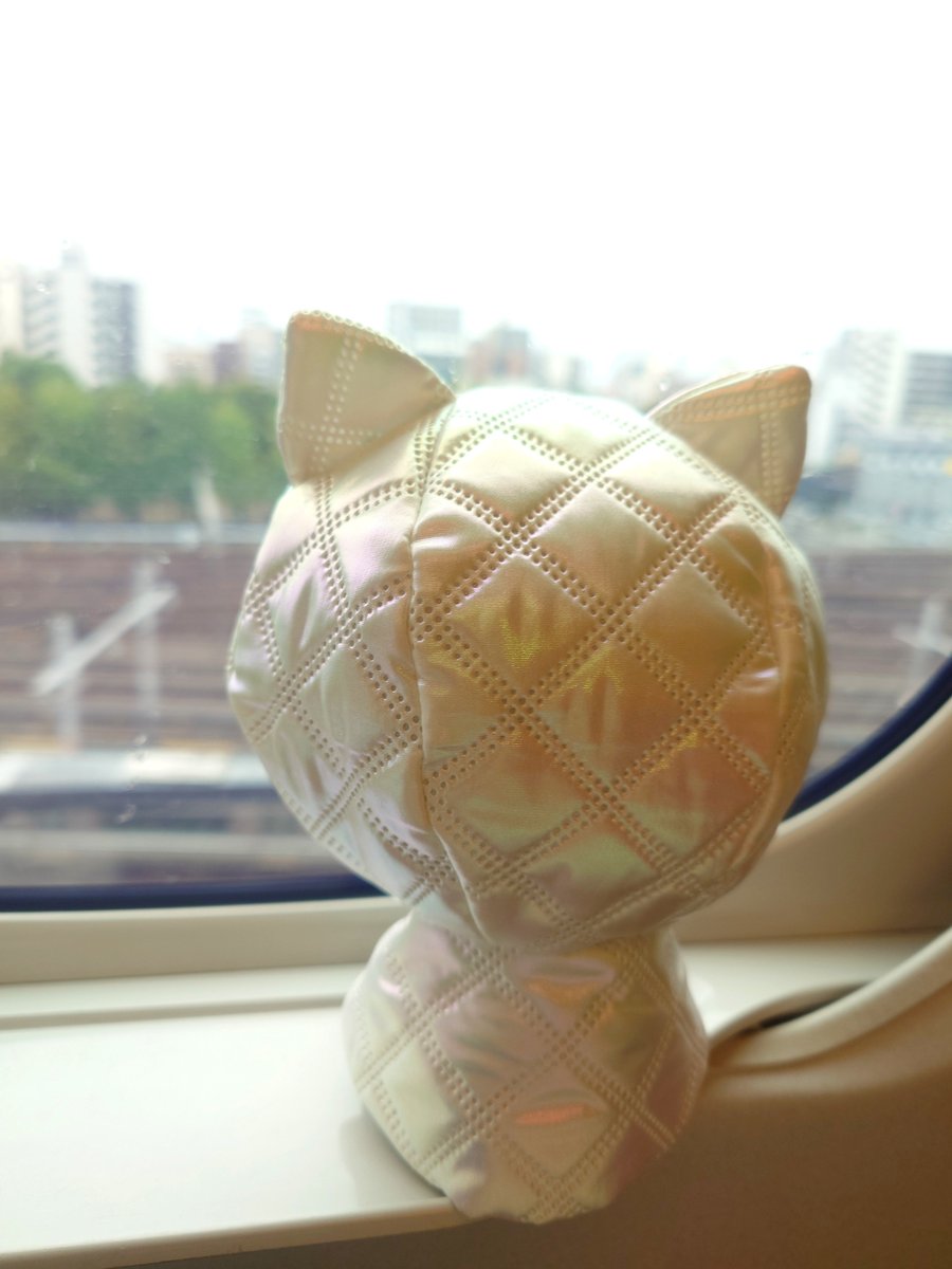 hutch_td's tweet photo. おでけけするすわ〜！！

今日のブランチは手まり寿司といちご大福だよ♡ https://t.co/cldk24b5iy