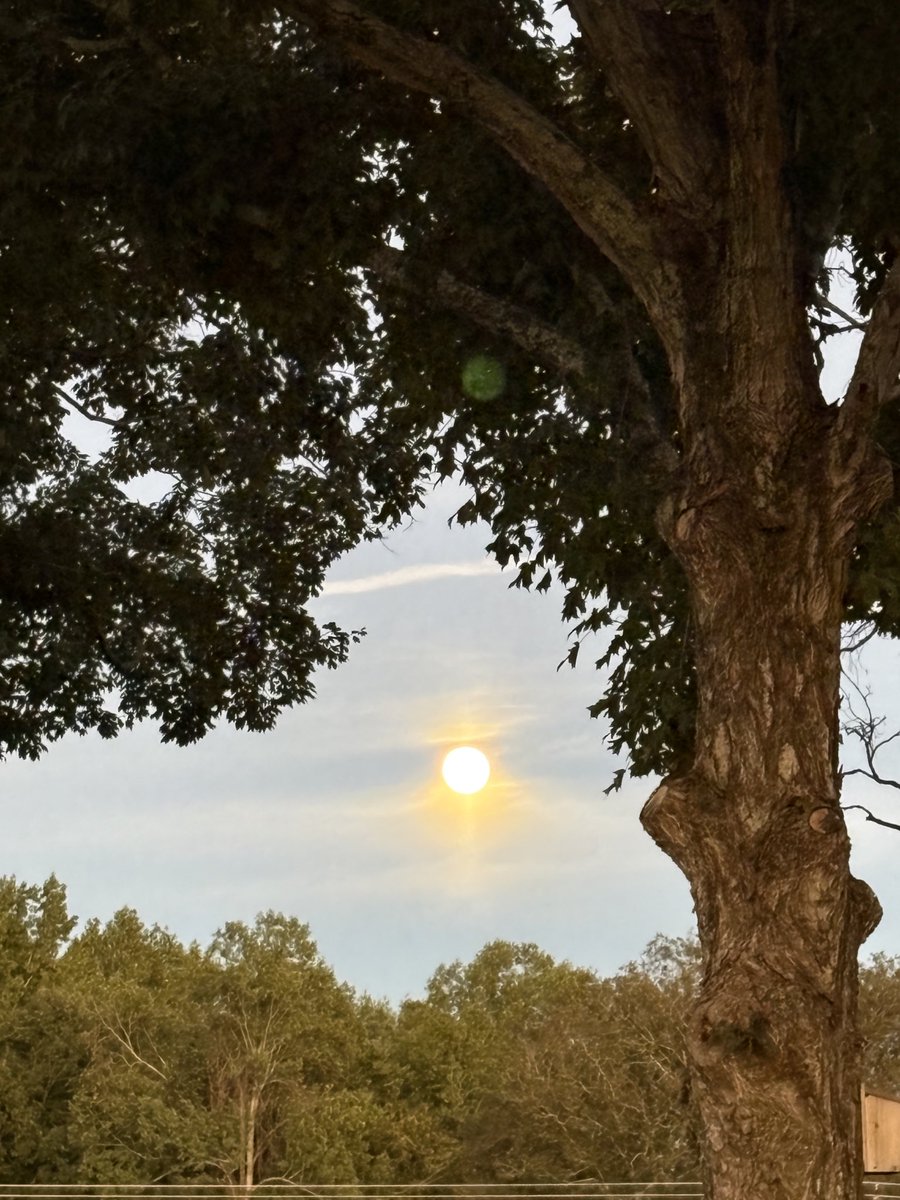 KDLLIKEA's tweet photo. Moon me,  i saw it clear my iPhone didn’t any suggestions are welcome https://t.co/r5cNw5Z9mf