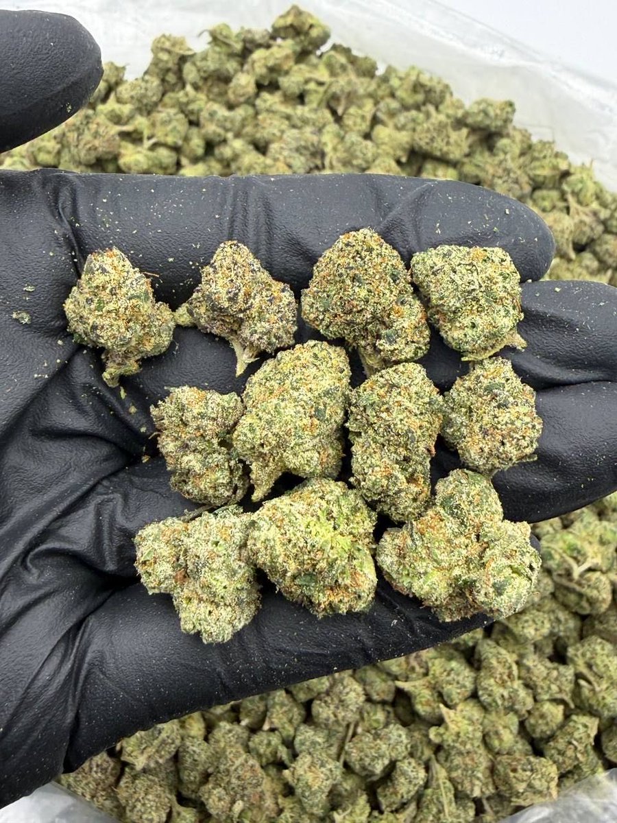 GoldenSgreens's tweet photo. Candy Za SM

1P $600
5P $2500 SHIPPED https://t.co/1h9H9hkV7Q