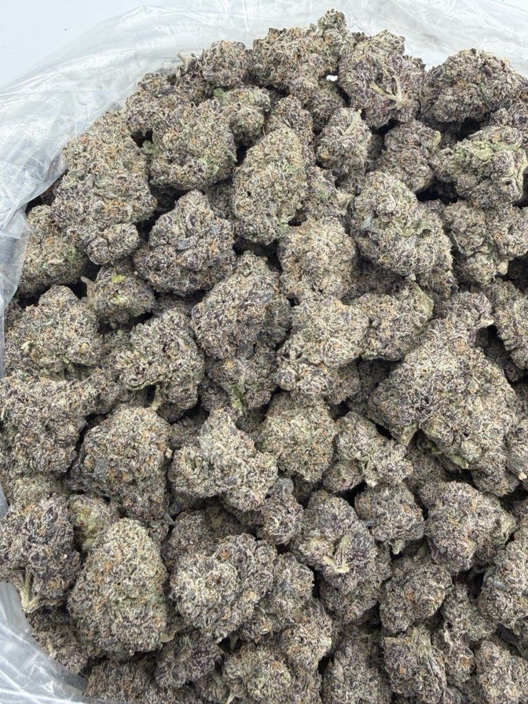 GoldenSgreens's tweet photo. INDOOR

Candy Rain
$850 shipped https://t.co/R7b7RqRDbQ