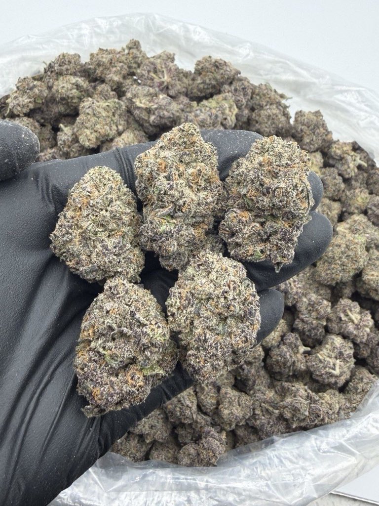 GoldenSgreens's tweet photo. INDOOR

Candy Rain
$850 shipped https://t.co/R7b7RqRDbQ