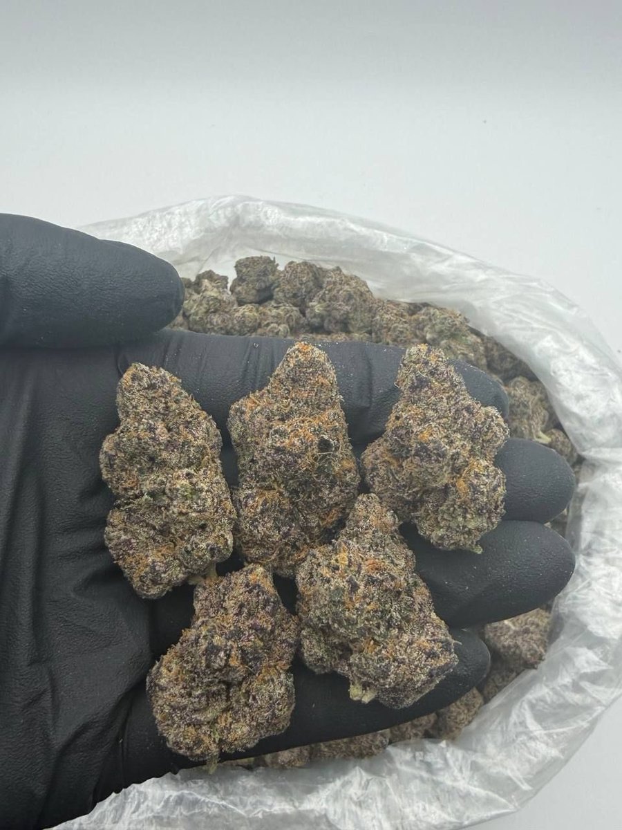 GoldenSgreens's tweet photo. INDOOR 
Censored candy 
$800 https://t.co/NtuI0q3Sqz
