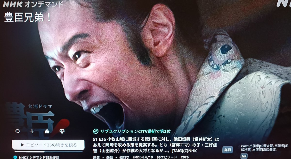 RururuCircle's tweet photo. 『長宗我部兄弟』と「姫若子と鬼若子」は実家で観れたけど、自宅ではNHKオンデマンドなんで『豊臣兄弟』の最新話まだ観れない。配信の1週間遅延て謎のクソ改悪ホント腹立つ💢
#豊臣兄弟　#長宗我部元親　#磯部寛之 https://t.co/etzRQaZkCf
