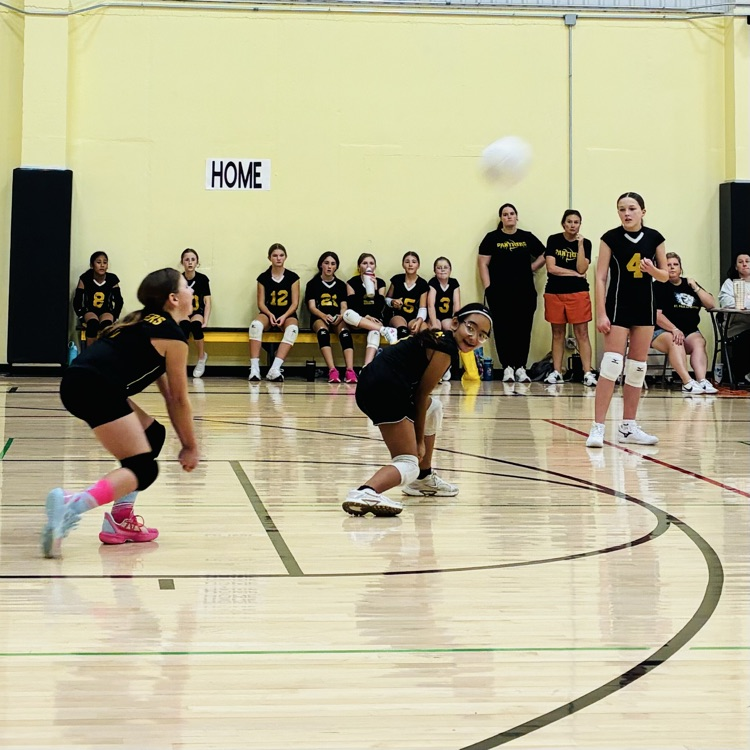 SPLSPanthers's tweet photo. Way to go 5/6 Lady Panthers!🖤💛🖤 https://t.co/EbGi6hZ0hs