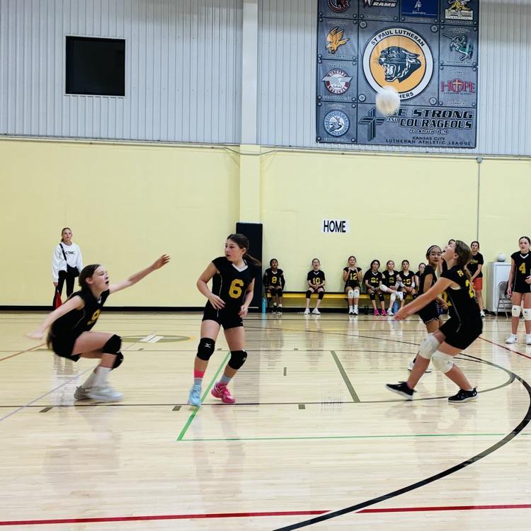 SPLSPanthers's tweet photo. Way to go 5/6 Lady Panthers!🖤💛🖤 https://t.co/EbGi6hZ0hs