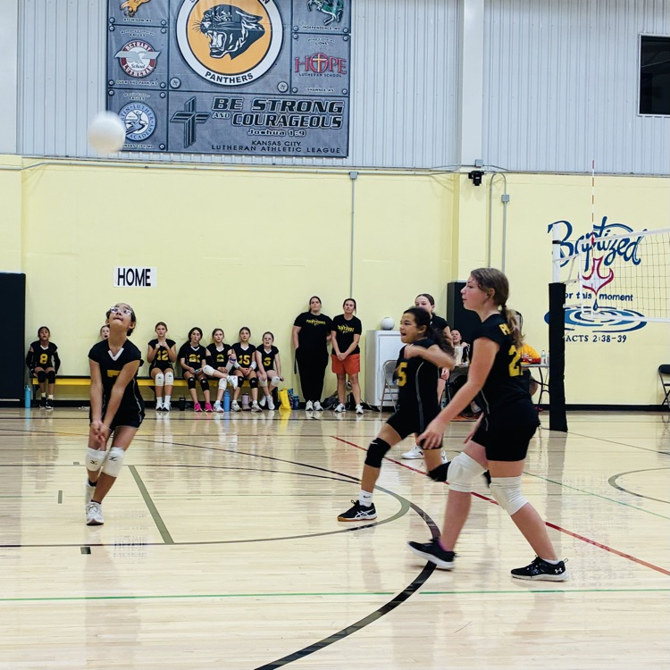 SPLSPanthers's tweet photo. Way to go 5/6 Lady Panthers!🖤💛🖤 https://t.co/EbGi6hZ0hs