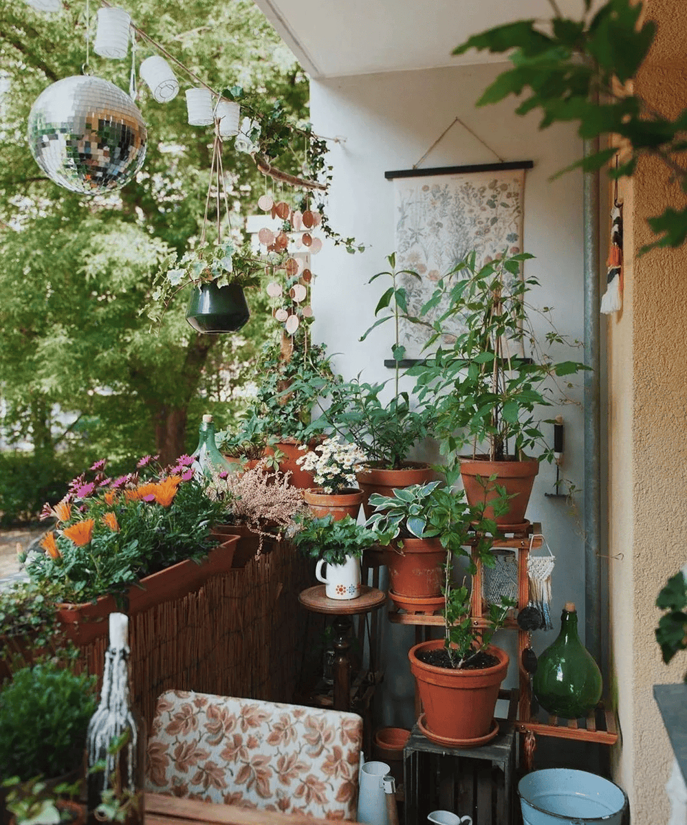 AnneRutherveb's tweet photo. My tiny balcony turned empty corner into a cozy herb nook this month—fresh basil and mint make every meal feel brighter ， https://t.co/pYbPx2fVqh
