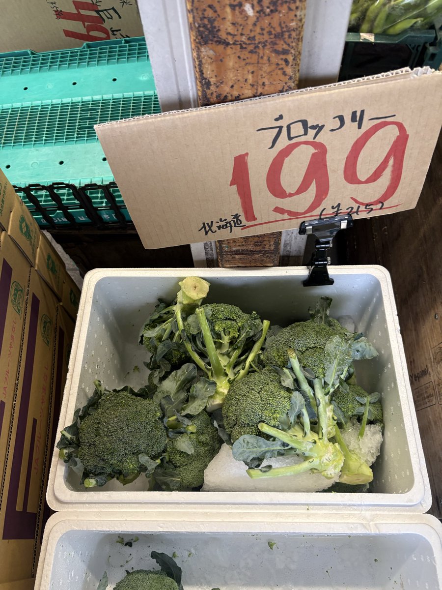 mindhorieten's tweet photo. 北海道産 #ブロッコリー 1個 199円🥦
山形産 #千秋りんご 1山 399円🍎
福岡産 #西村早生柿 1個 79円！！
千葉産 #さんぶすいか 1個699円🍉
＃マインド堀江店 #八百屋 https://t.co/M4oPQpU6fH