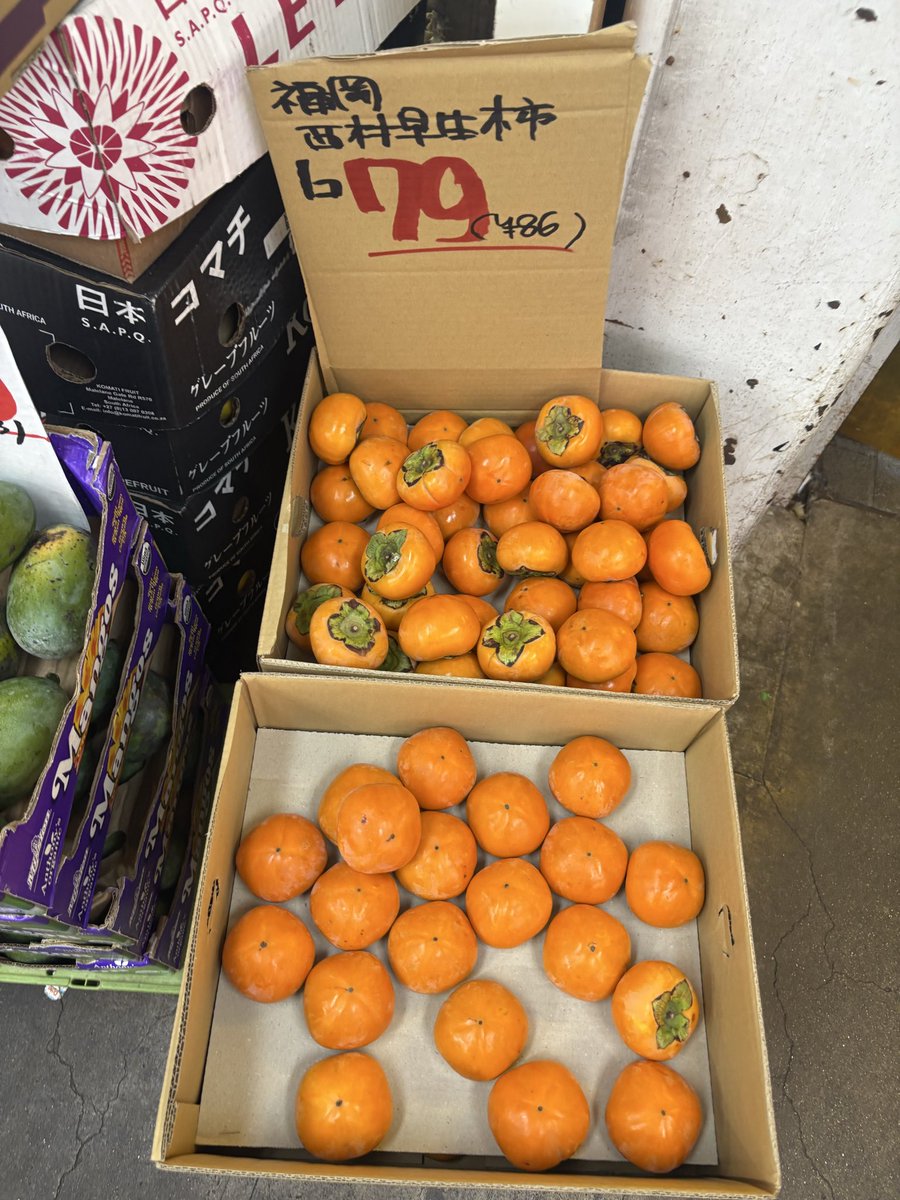 mindhorieten's tweet photo. 北海道産 #ブロッコリー 1個 199円🥦
山形産 #千秋りんご 1山 399円🍎
福岡産 #西村早生柿 1個 79円！！
千葉産 #さんぶすいか 1個699円🍉
＃マインド堀江店 #八百屋 https://t.co/M4oPQpU6fH