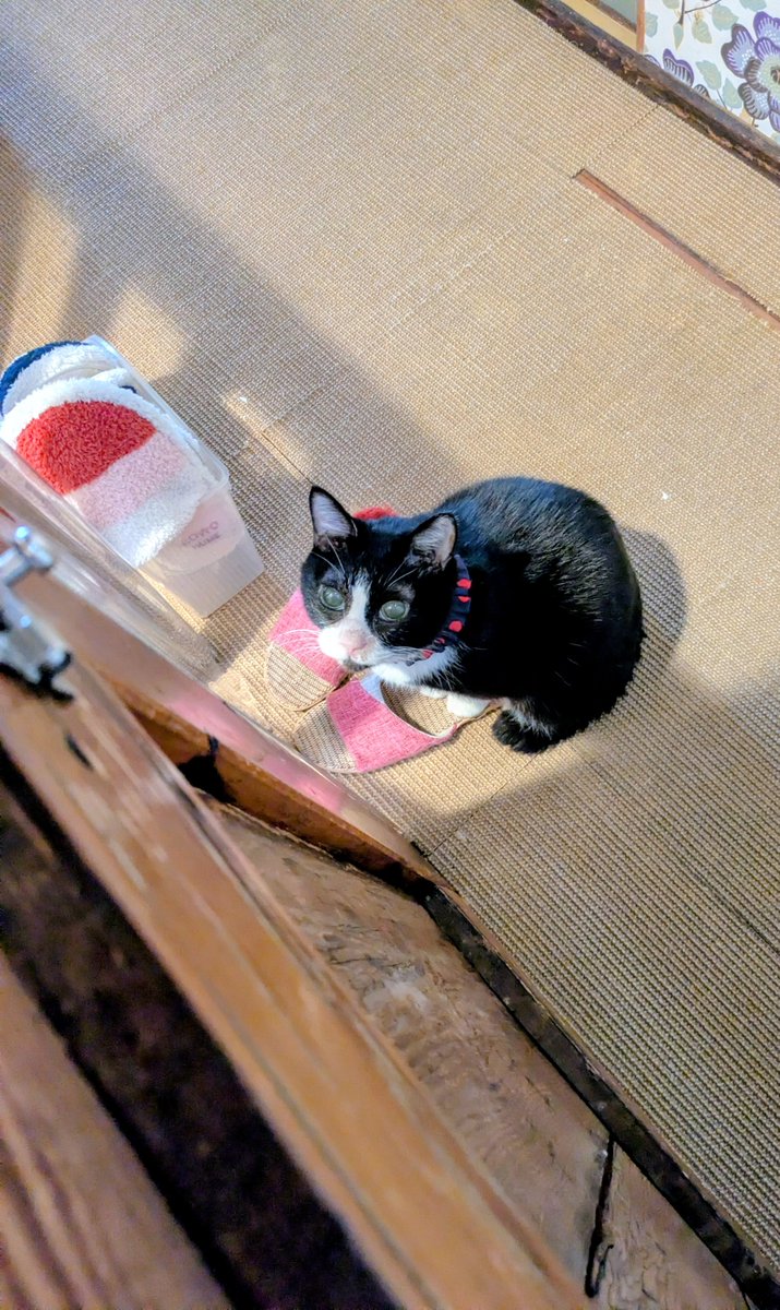 iz_gin's tweet photo. 今日は何の日？
ばらの首飾り❣️でお待ちしております(=^・^=)

#核兵器の全面的廃絶のための国際デー https://t.co/YJ6hMBhLQy