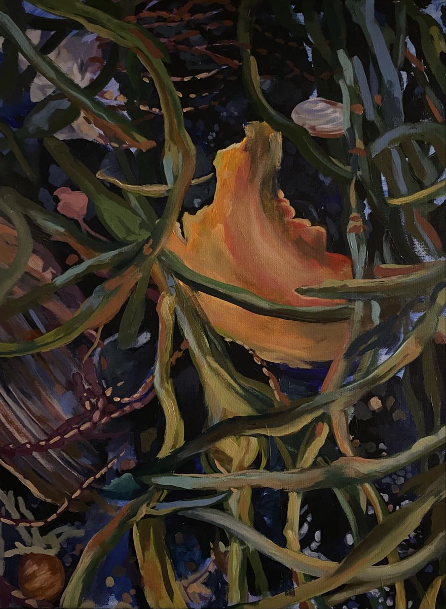 megcutspaper's tweet photo. Merely Abandoned
24x18” acrylic on canvas

#acrylic #painting #ocean #shells #eastcoast #novascotia #artist #artists https://t.co/xTfqjNstCc